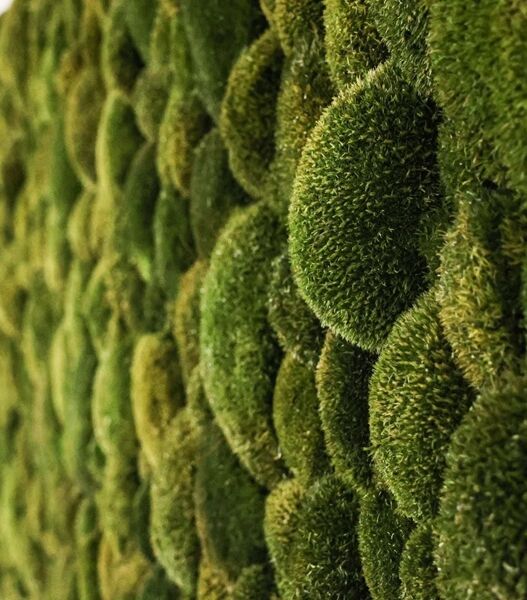 Natürlich zeitlos schön