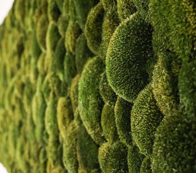 Moosbilder die perfekte Raumgestaltung