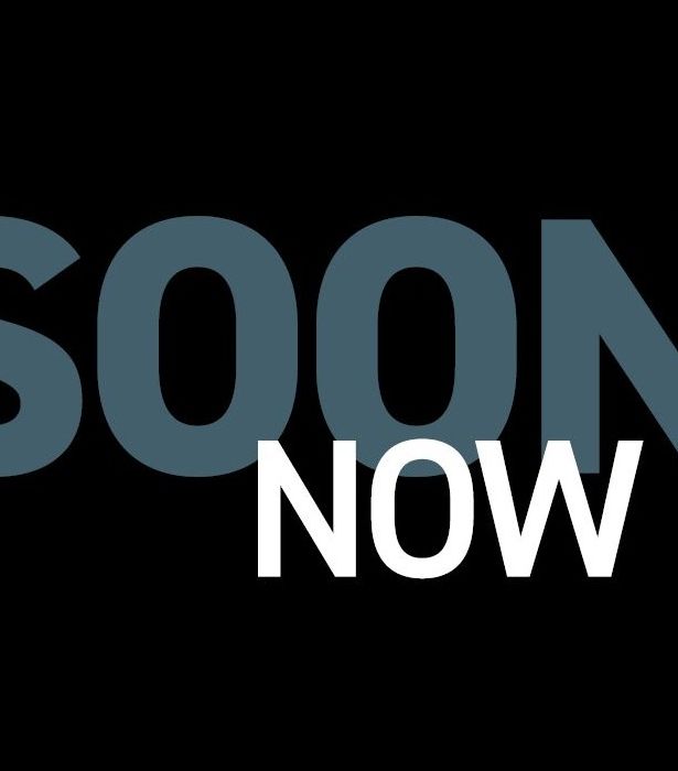 SOON NOW Palmberg Broschüre