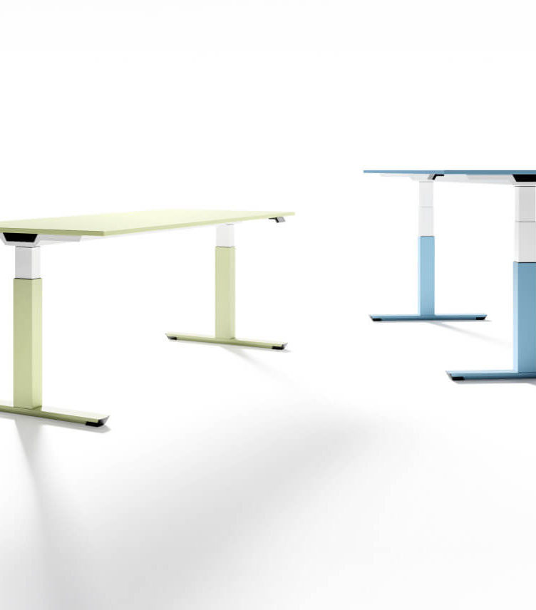 Palmberg Neuheiten 2024