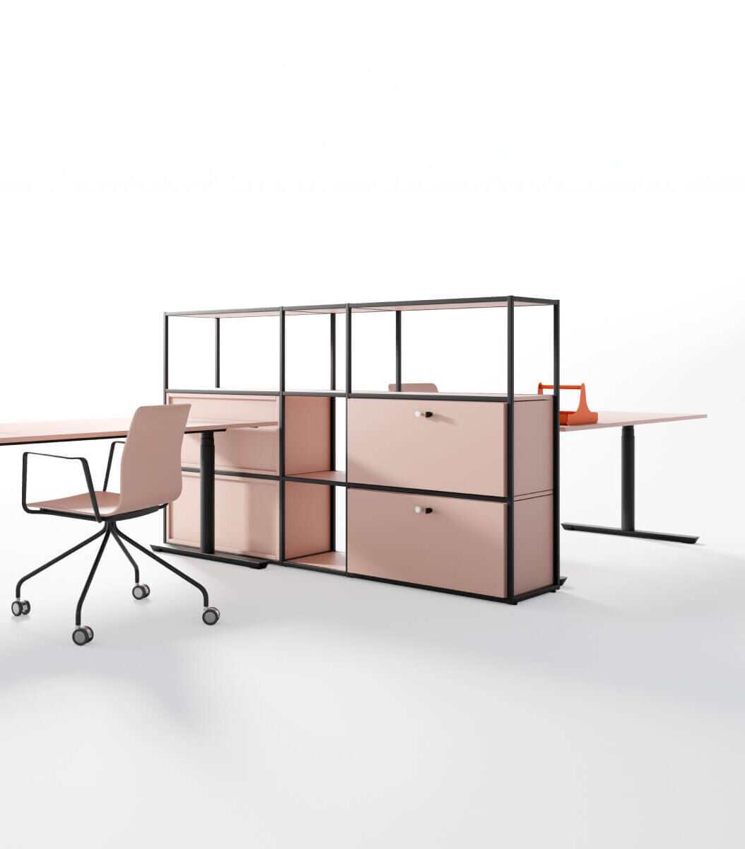 Palmberg Neuheiten 2024