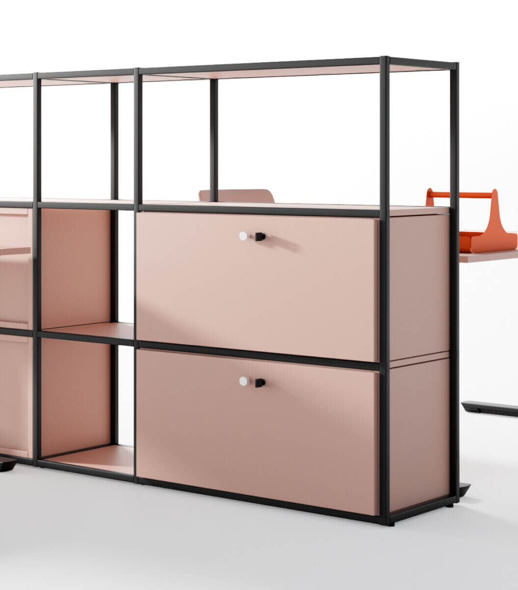 Palmberg Neuheiten 2024