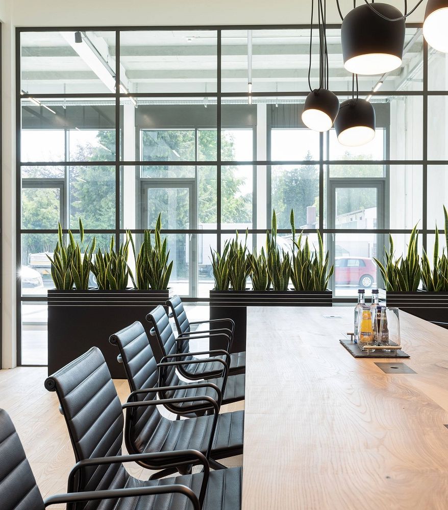 Moderne Raumgestaltung mit Stil